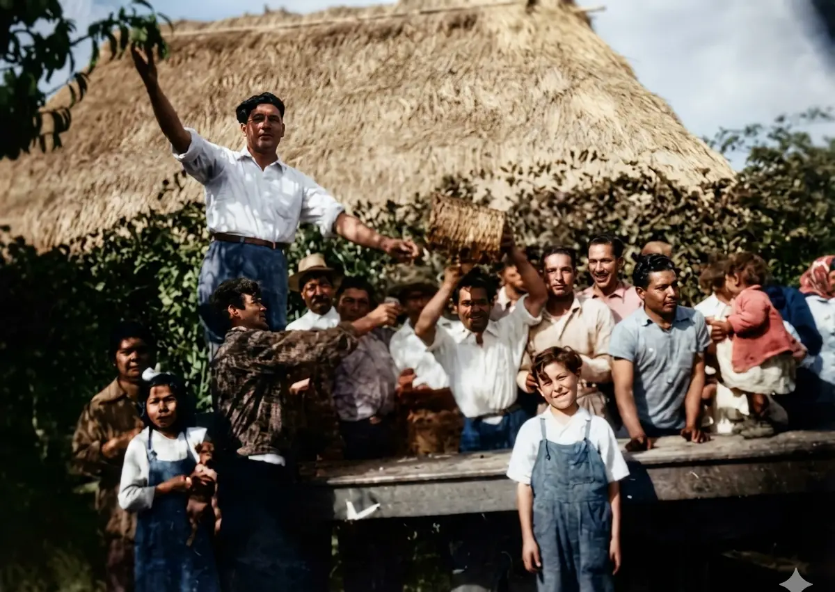 Viñedo ancho completo